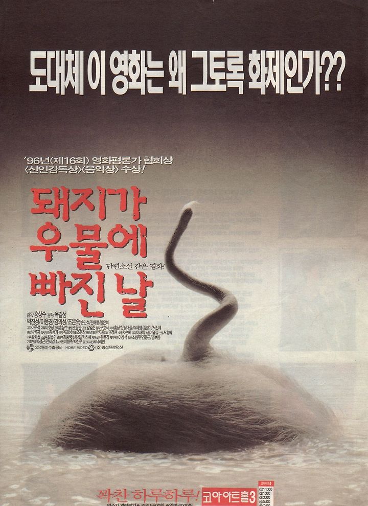 돼지가 우물에 빠진 날